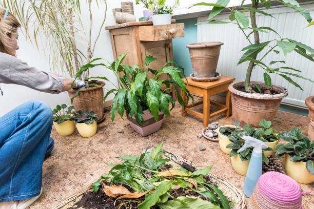 7 Things To Check Before Buying Plant Stands For a Small Balcony