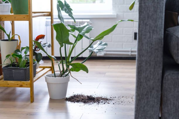 I Tested 5 Drainage Fixes Under Pots