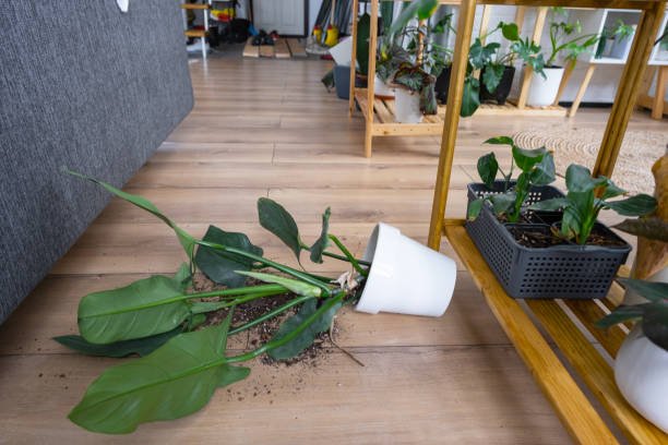 Plastic Pots vs Terracotta vs Fabric Grow Bags